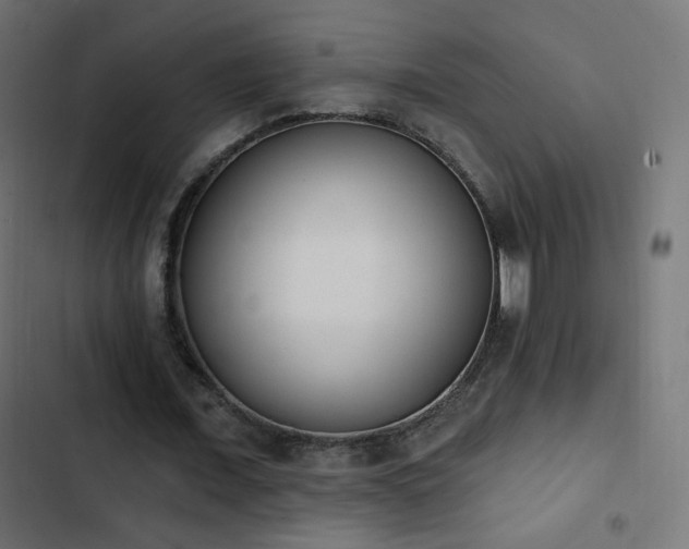 X0000103440675200809121404