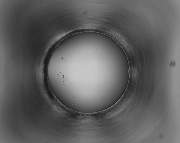 X0000103440676200809121404