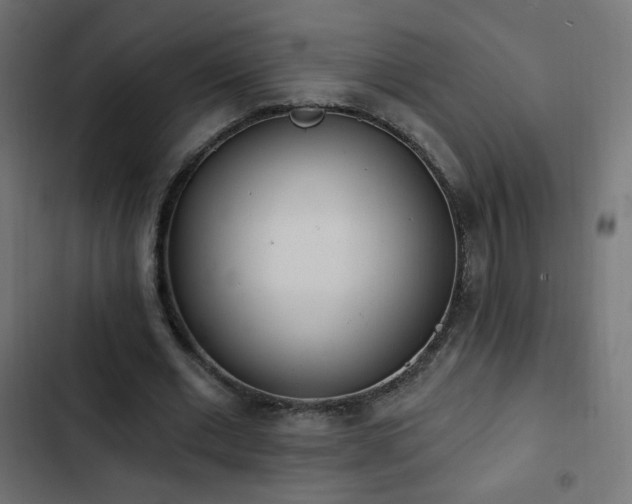 X0000103440677200809121404