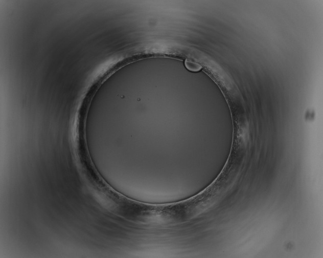 X0000103440678200809121404