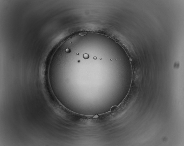 X0000103440679200809121404
