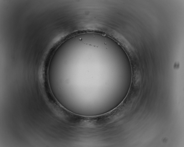 X0000103440680200809121404