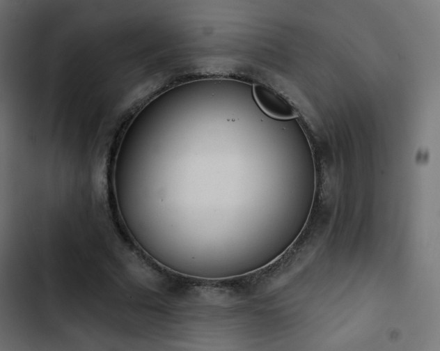 X0000103440681200809121404