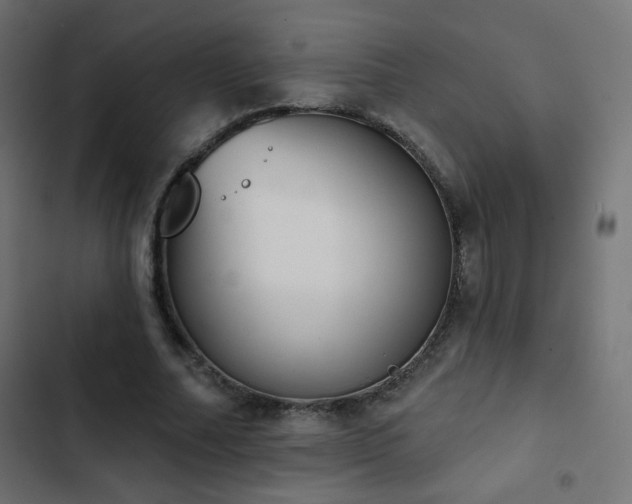 X0000103440682200809121404