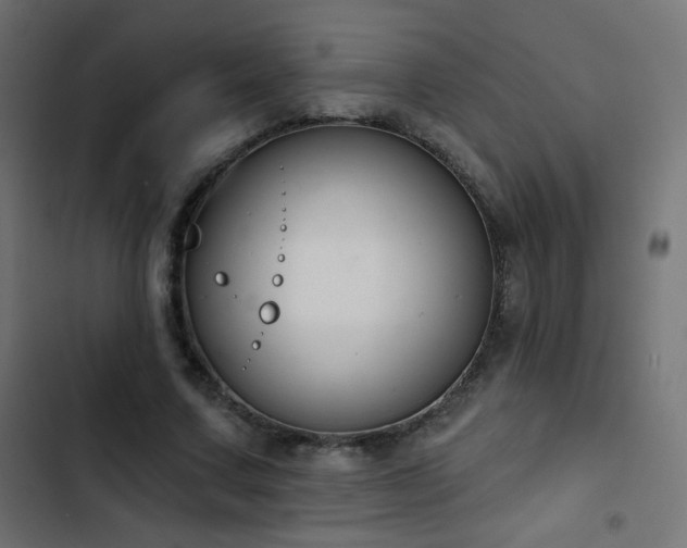 X0000103440683200809121404