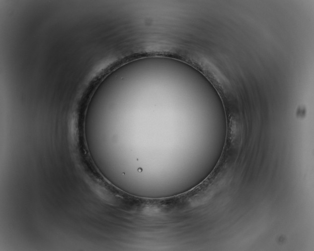 X0000103440684200809121404