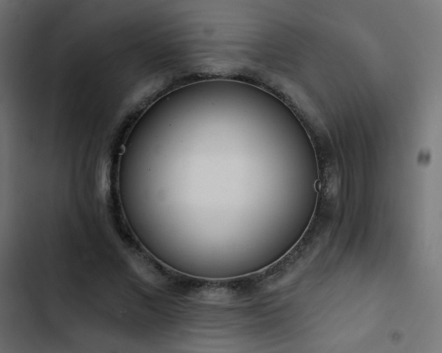 X0000103440685200809121404