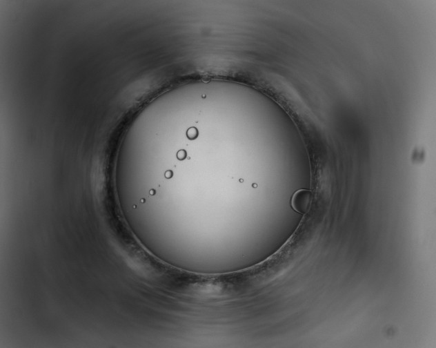 X0000103440687200809121404