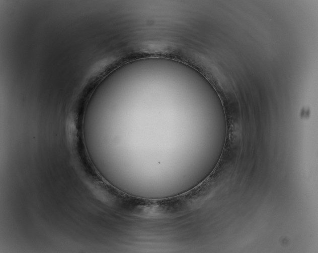 X0000103440688200809121404