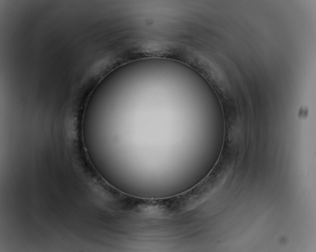 X0000103440689200809121404