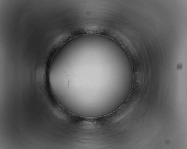 X0000103440690200809121404