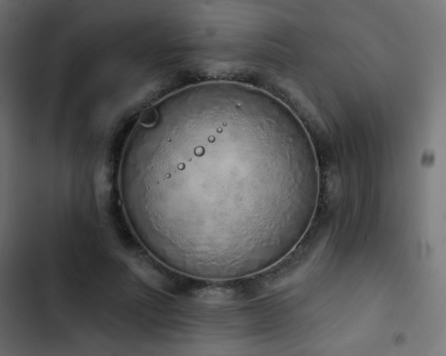X0000103440691200809121404