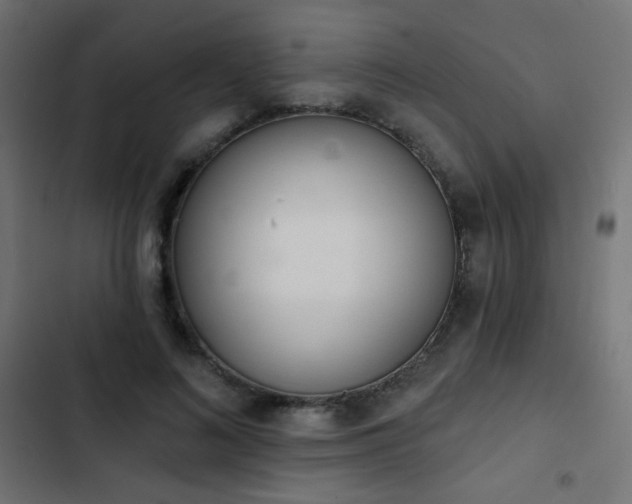 X0000103440692200809121404