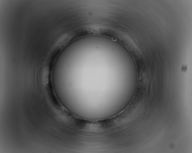 X0000103440694200809121404