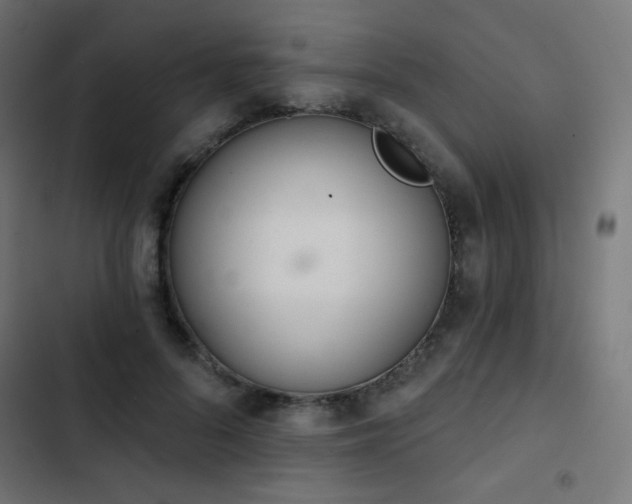 X0000103440696200809121404