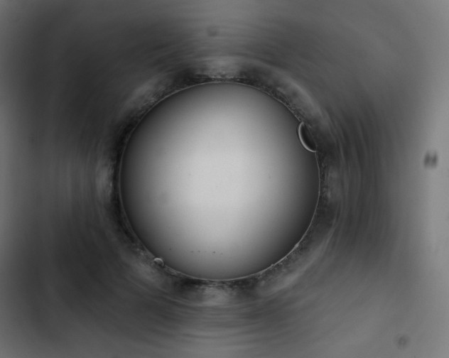 X0000103440697200809121404