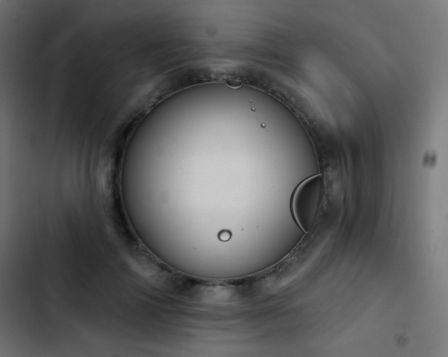 X0000103440698200809121404