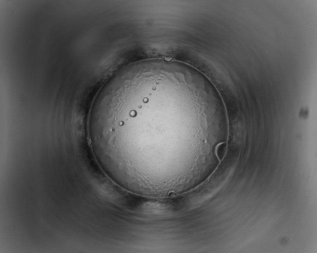 X0000103440699200809121404