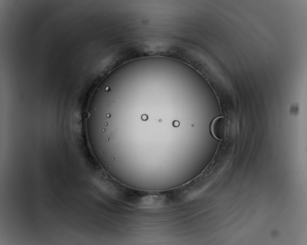 X0000103440700200809121404