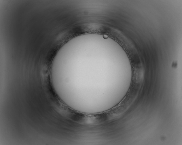 X0000103440701200809121404