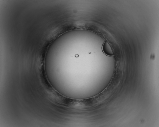 X0000103440702200809121404