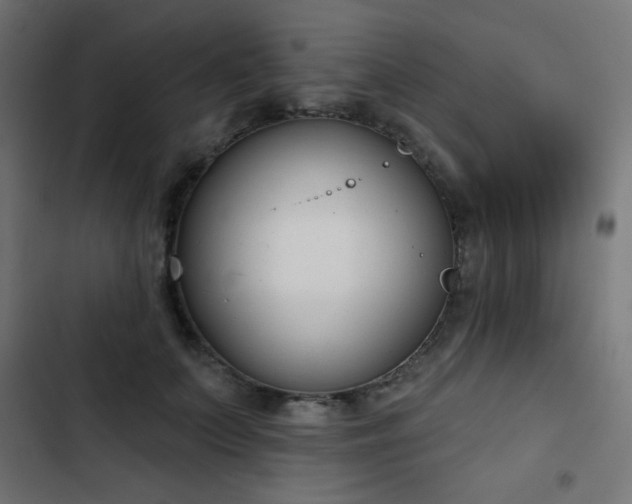 X0000103440703200809121404