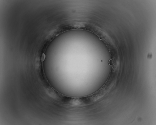 X0000103440704200809121403