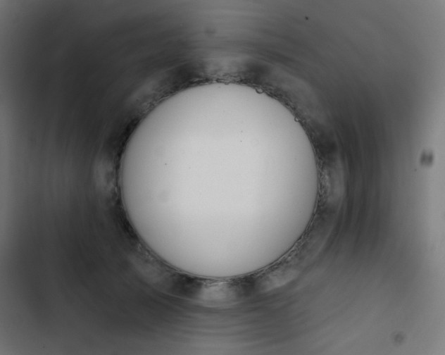 X0000103440705200809121403