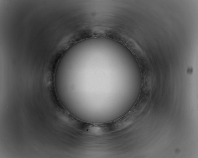 X0000103440706200809121403