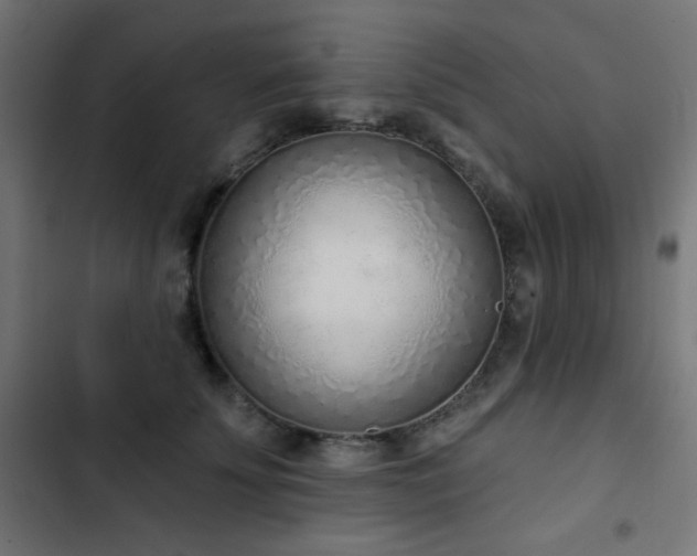 X0000103440707200809121403