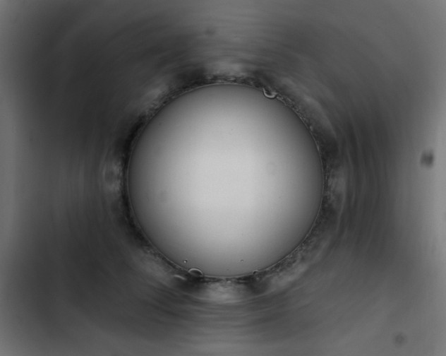 X0000103440708200809121403