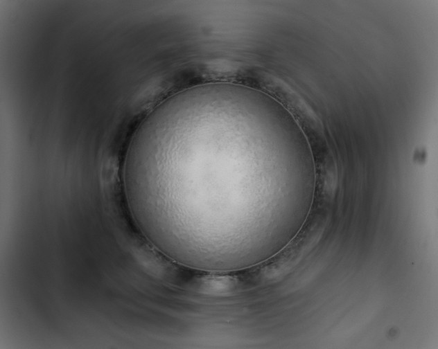 X0000103440711200809121403