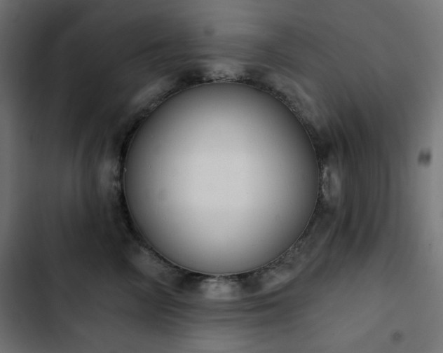 X0000103440714200809121403
