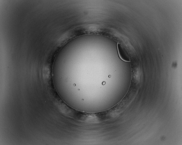 X0000103440715200809121403