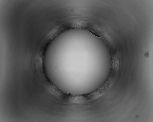 X0000103440716200809121403