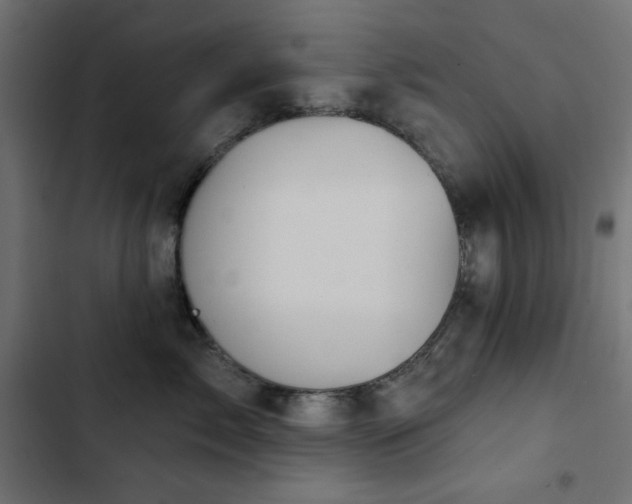 X0000103440717200809121403