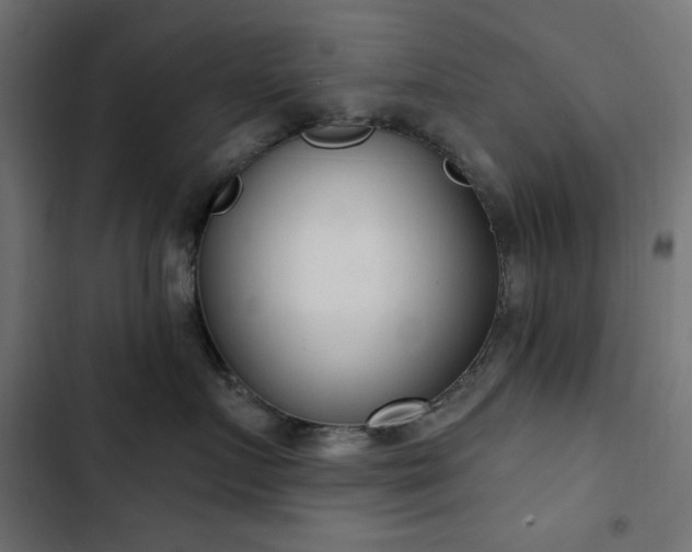 X0000103440719200809121403