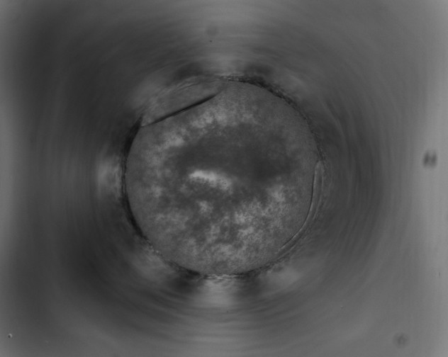 X0000103440720200809121403