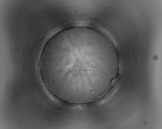 X0000103440721200809121403