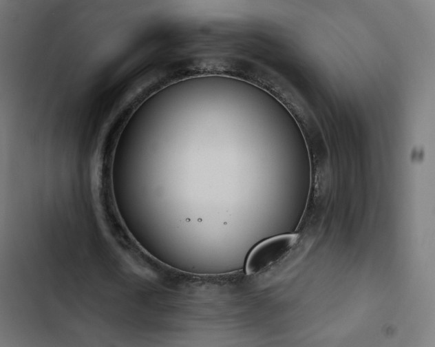 X0000103440722200809121403