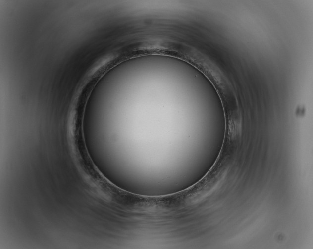 X0000103440724200809121403