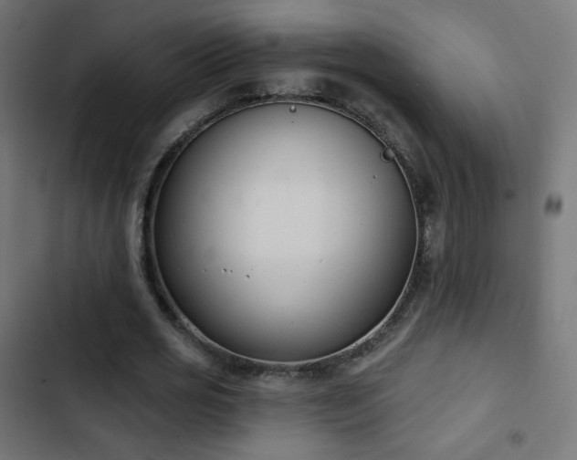 X0000103440725200809121403