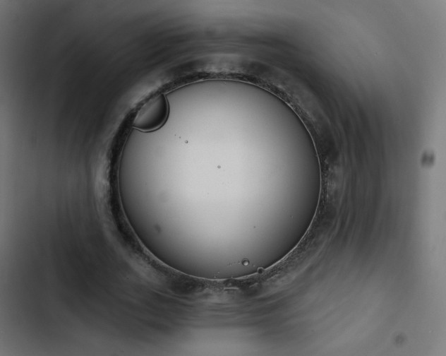 X0000103440727200809121403