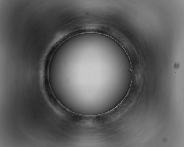 X0000103440728200809121403