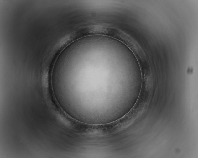 X0000103440729200809121403