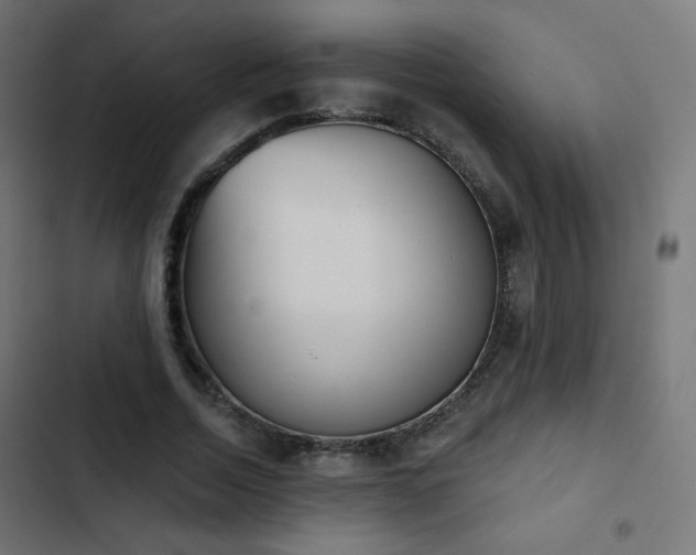 X0000103440730200809121403