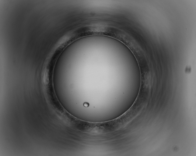 X0000103440731200809121403