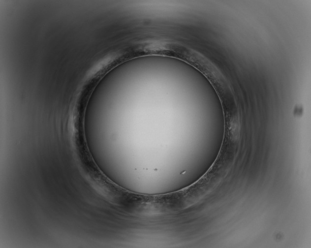 X0000103440732200809121403