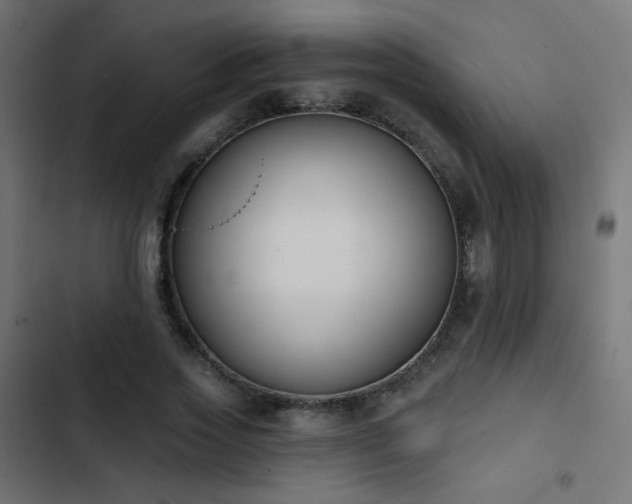 X0000103440733200809121403