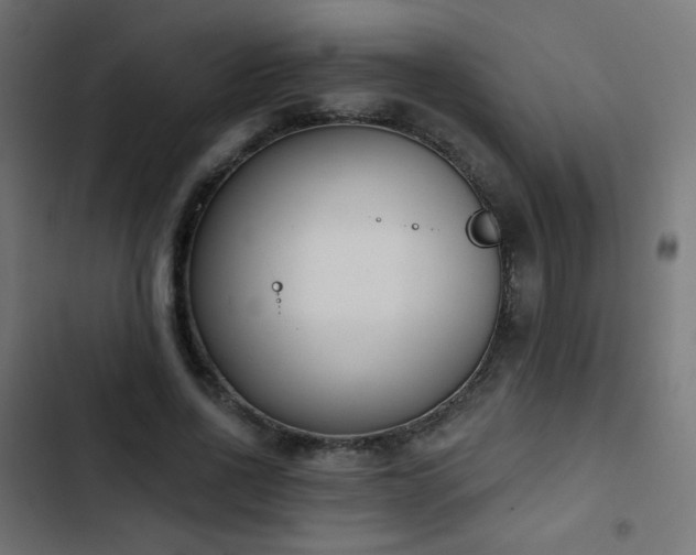 X0000103440734200809121403